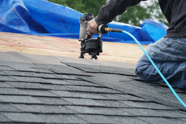 Best Gutter Installation and Roofing  in Madison Park, NJ
